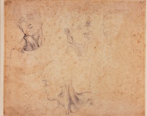 Quattro studi di teste maschili