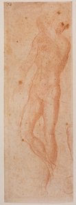 Studi di nudo maschile da Michelangelo (after) Buonarroti