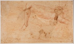 Studi di nudi