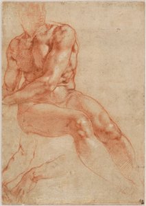 Nudo maschile giovane seduto e due studi di braccia (recto), 1510-11 ca. da Michelangelo