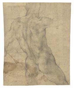 Un nudo maschile visto da dietro da Michelangelo Buonarroti