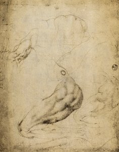 Studio anatomico da Michelangelo Buonarroti