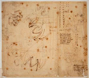 Studi e conteggi autografi