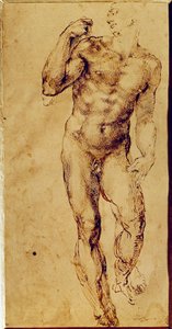 Studio di uomo nudo in piedi da Michelangelo Buonarroti