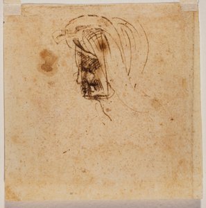 Testa femminile da Michelangelo Buonarroti