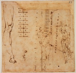 Studi di figure da Michelangelo Buonarroti