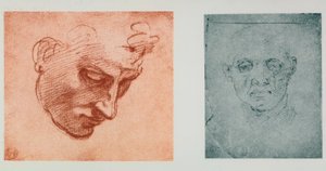 Vista frontale di un volto e uno di profilo da Michelangelo Buonarroti