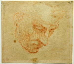 Studio della testa per il soffitto della Cappella Sistina, ca 1509-1510