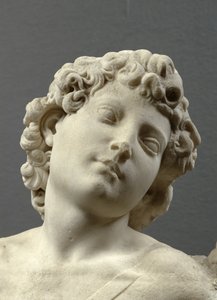 Testa del Cupido 