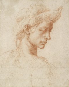 Testa ideale, c.1518-20