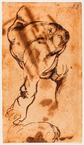 Studio della gamba per il Bambino nel Doni Tondo da Michelangelo Buonarroti