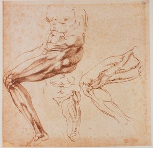 Studi di gambe da Michelangelo Buonarroti