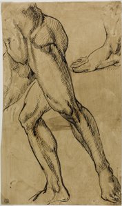 Gambe e Piedi di Nudo Maschile da Michelangelo Buonarroti