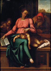 Madonna del Silenzio da Michelangelo Buonarroti