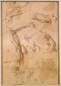 Ms H 184 fol.202 Studi di braccia alzate, un gatto selvatico e un gruppo di figure
