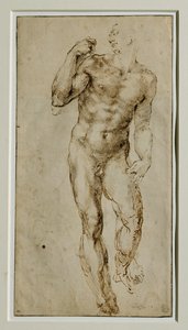 Nudo maschile, vista frontale, 1502-1506 circa ...