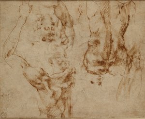 Studi di nudo, c1490-1560 da Michelangelo Buonarroti