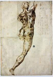 Nudo di schiena, c. 1504