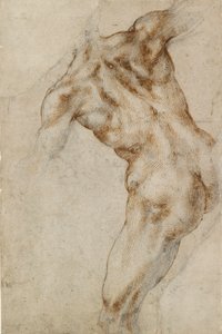 Torso maschile nudo, inizio XVI secolo da Michelangelo Buonarroti