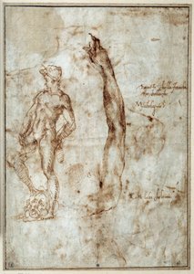 Studio di nudo da Michelangelo Buonarroti