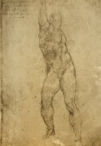Studio di nudo, disegno di Michelangelo da Michelangelo Buonarroti
