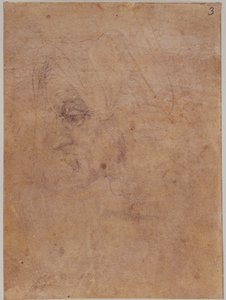 Profilo di una donna anziana da Michelangelo Buonarroti