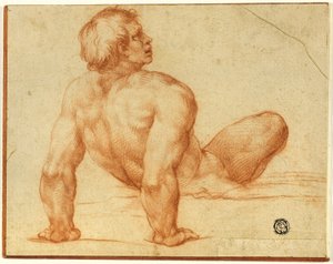 Nudo maschile seduto da Michelangelo Buonarroti