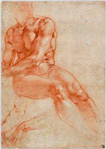 Giovane maschio nudo seduto e due studi di braccia, ca 1510-1511