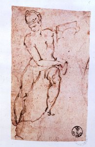 Soffitto della Cappella Sistina: schizzo di un apostolo da Michelangelo Buonarroti