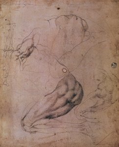 Soffitto della Cappella Sistina (1508-12): schizzi della figura di Eva dalla scena del Peccato Originale da Michelangelo Buonarroti