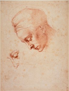 Studi per la testa di 