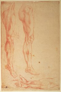 Studi di gambe e braccia