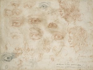 Studi di due teste, c.1525