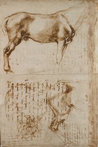 Studi di un cavallo e di un cavaliere che attacca soldati a piedi, inizio XVI secolo da Michelangelo Buonarroti