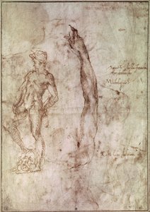  da Michelangelo Buonarroti