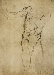 Studio per un busto maschile da Michelangelo Buonarroti