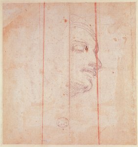 Studio per la Testa della Sibilla Libica