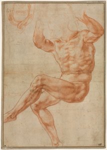 Studio per il Giovane Nudo sopra il Profeta Daniele (recto) da Michelangelo Buonarroti