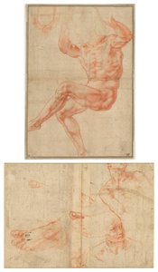 Studio per il Giovane Nudo sopra il Profeta Daniele (recto); Studi di Figure per il Soffitto della Sistina (verso) da Michelangelo Buonarroti