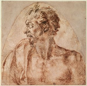 Studio di testa e spalle da Michelangelo Buonarroti