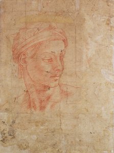 Studio di una testa da Michelangelo Buonarroti