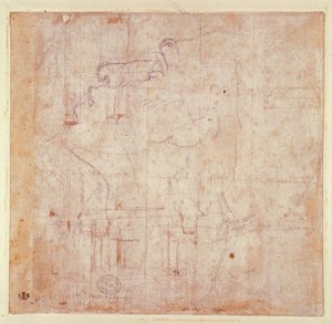 Studio di una testa, 1525-26 (verso)