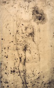 Studio di un nudo maschile con gamba sinistra sollevata da Michelangelo Buonarroti