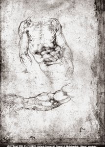 Studio di un torso e braccio maschile