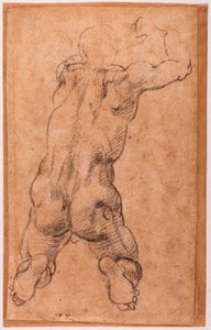 Studio di nudo maschile inginocchiato da Michelangelo Buonarroti