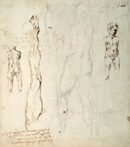 Studio del Bambino Gesù e un disegno anatomico con note (gesso nero e inchiostro marrone su carta) (verso) da Michelangelo Buonarroti