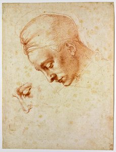 Studio per la testa di Leda, ca 1530 da Michelangelo Buonarroti