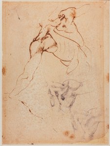 Studio di torso per la 