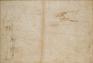 Verso: Studi di una gamba d
