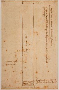 Sezione verticale della colonna per la facciata di San Lorenzo da Michelangelo Buonarroti
